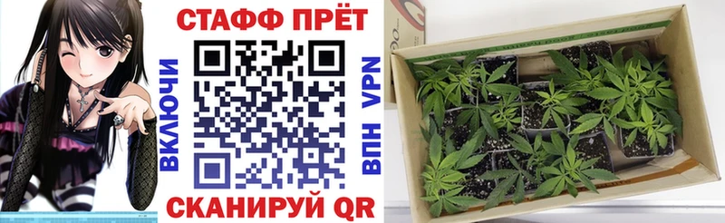 Что такое Дорогобуж Каннабис  Кокаин  A-PVP  Гашиш 