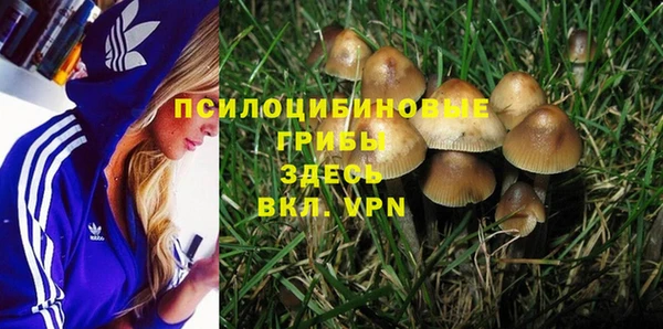 марки lsd Алексин