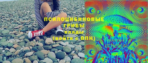 apvp Арсеньев