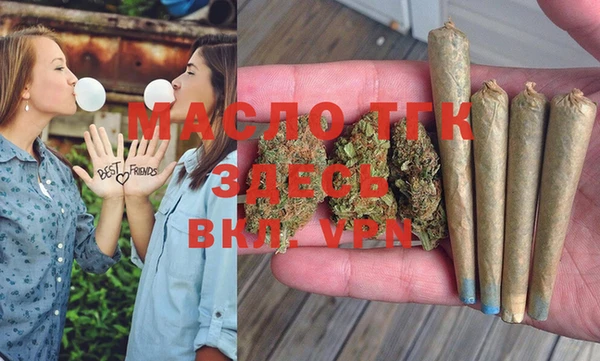 винт Ельня