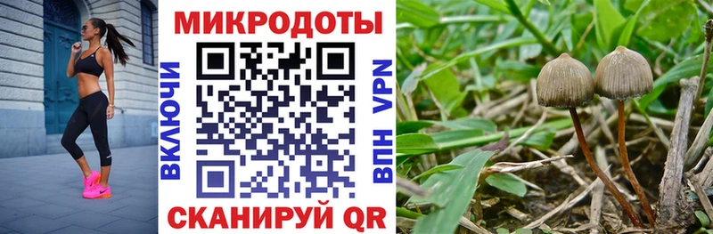 наркота  Дорогобуж  Псилоцибиновые грибы мухоморы 